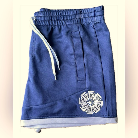 Barbarian Aesthetics Apparel Men’s Training Shorts for the Gym, Blue Size Large - Picture 4 of 5